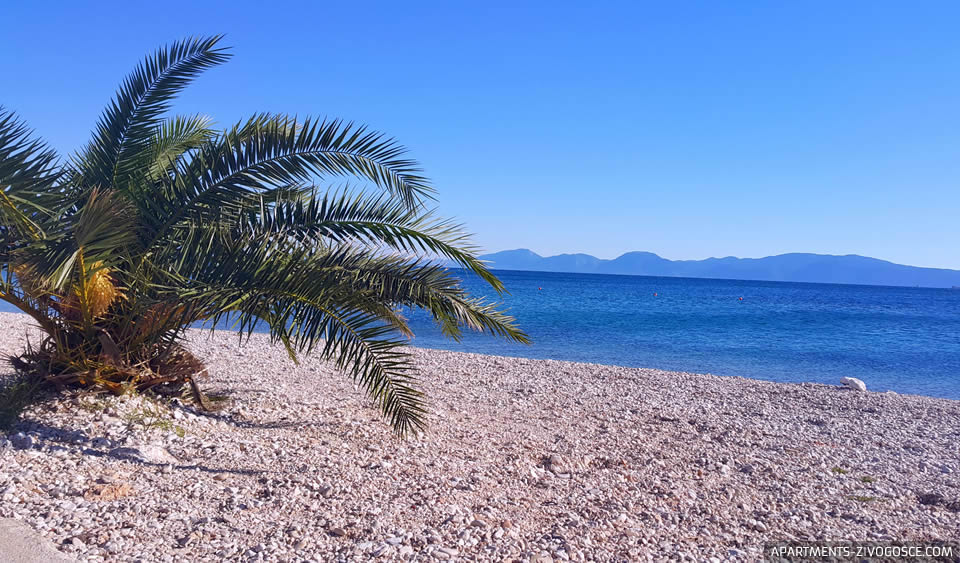 Živogošće Blato beach