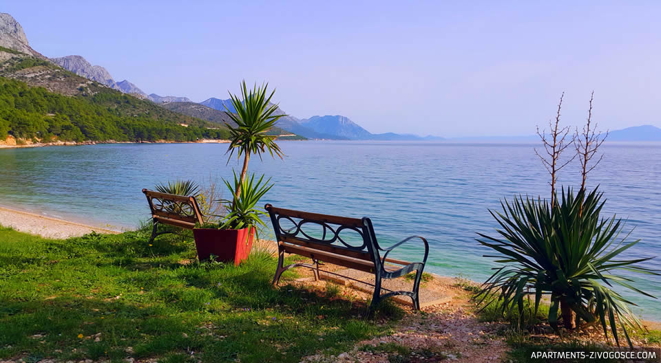 Živogošće Blato plaža Dole